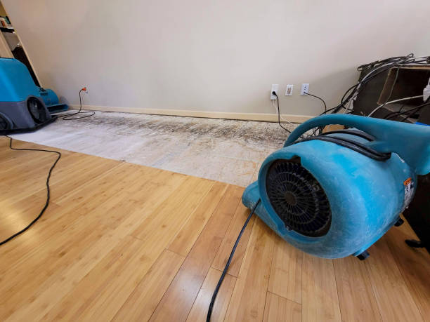 Professional Burst Pipe Water Damage technician working in Sorrento, LA